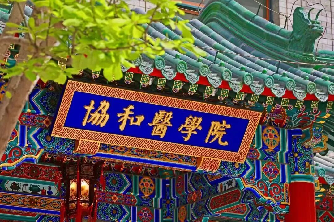 109e7f4b70fe4d60a0ad8defbe20b976.jpg IMG_0988.JPG