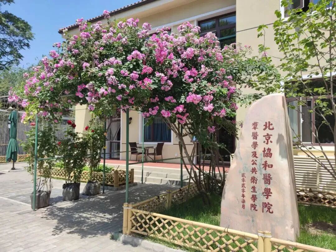 18e87c4904b244ebb6361ea078a3668d.jpg IMG_0989.JPG